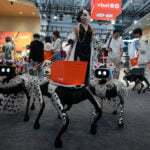 From robot dogs to helpers, China puts robotics ambitions on display at world conference
