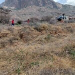 Tourist helicopter crashes in Kenya, police say seven killed