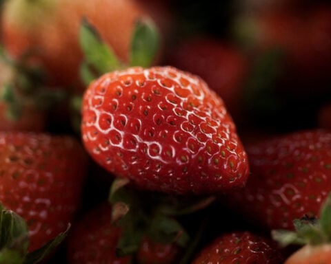 Mexico pushes back on US ruling on strawberry dumping