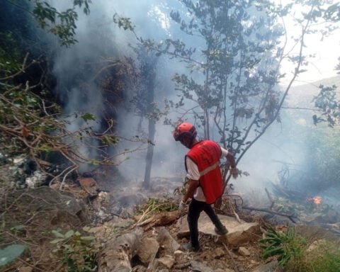 Kenya tourist helicopter crash kills 7, including Americans and Ecuador security chief