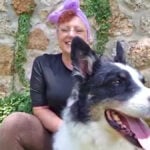 Missing Oklahoma dog found safe more than 1,000 miles away. But how he got there remains a mystery
