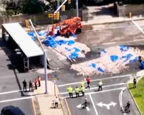 Truckload of squid spills into the street in Rhode Island, creating a smelly mess in the summer heat