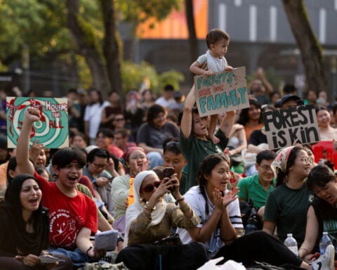 Singapore's plan to clear forest for housing faces a backlash