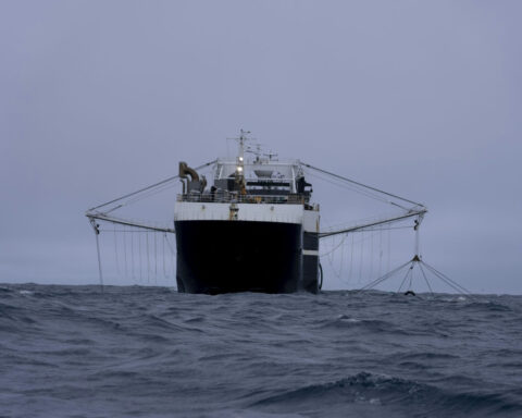 Antarctic krill fishing is now concentrated in the exact pattern conservation rules were designed to prevent