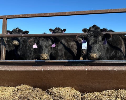 Trump announces plan to lower beef prices, but ranchers and some Republicans are already balking