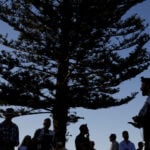 Australia's capital to join gun buyback in response to Bondi Beach attack, Albanese says