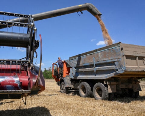 Kremlin says it is acting to minimise impact of Ukrainian strikes on Russian grain exports