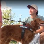 In a tournament full of unlimited tennis balls, dogs steal hearts at the Cincinnati Open