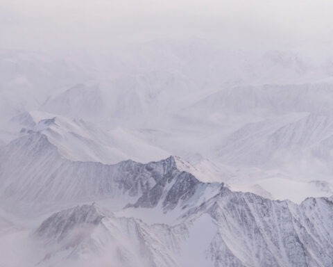 A lush knee-high jungle grows in the Arctic, but warming is changing Earth's mini-greenhouse