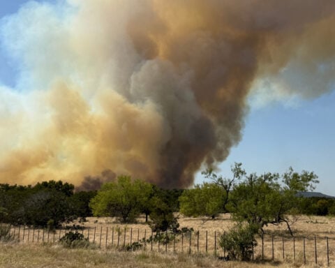 Texas wildfire mushrooms within hours, ripping through ranchlands