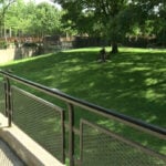 Child enters Milwaukee County Zoo animal habitat as staff activate emergency protocols