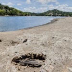 US declares drought disaster for parts of Puerto Rico as dry conditions persist