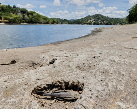 US declares drought disaster for parts of Puerto Rico as dry conditions persist