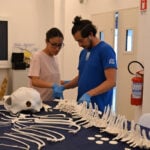 A dolphin saved its founder 4,000 years ago. Now this city is returning the favor