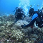 El Niño events are becoming stronger as the world warms
