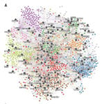 Largest ever ‘map’ of autism may hold clues for new targeted therapies