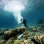 Galápagos corals show El Niño events are more extreme now than in past 1,000 years – here’s how my team made the discovery