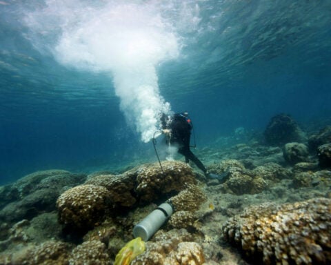 Galápagos corals show El Niño events are more extreme now than in past 1,000 years – here’s how my team made the discovery