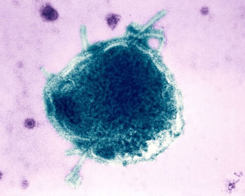 RFK Jr. and Josh Shapiro feud over measles-related deaths in Pennsylvania