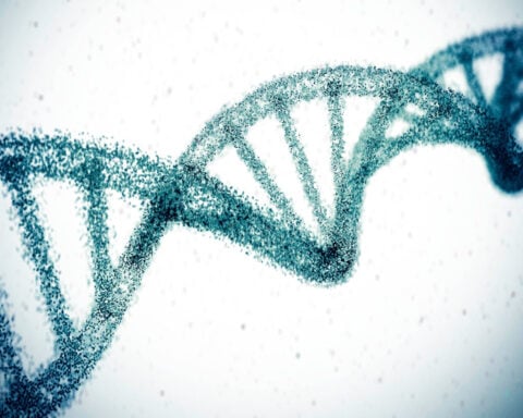 With the snip of a gene, scientists hope to erase high cholesterol for life