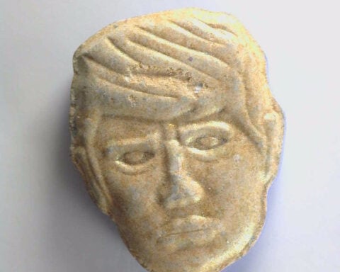 A Dutch institute issues a 'Red Alert' over potentially lethal Trump-shaped ecstasy pills