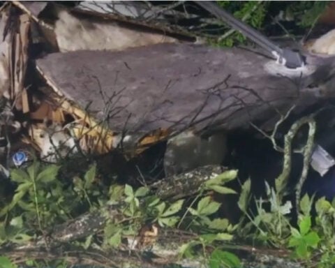 Woman dies after tree falls on camper during severe storms