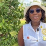 Georgia Gold Star mothers honored with service cleanup project at Marietta National Cemetery
