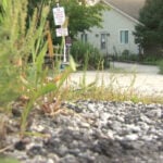 Man charged with stalking after investigators find skeletal remains, serial killer memorabilia
