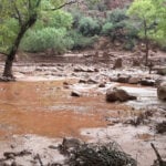 Dozens evacuated from Grand Canyon after flash flood hits creek leading to the Colorado River