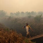 How severe are Indonesia's wildfires?