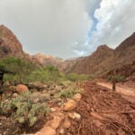 Grand Canyon braces for more storms after deadly flash flood, about 15 people still missing