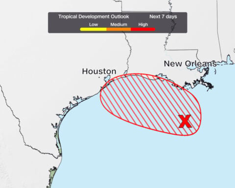Edouard brings heavy rain, gusty winds to southeast Texas