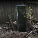 Family grieves husky found dead in backyard construction hole