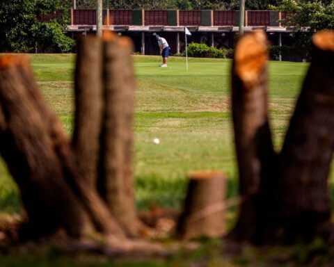 Judge declares she’s ‘not the Lorax’ during hearing on Trump’s DC golf course renovation