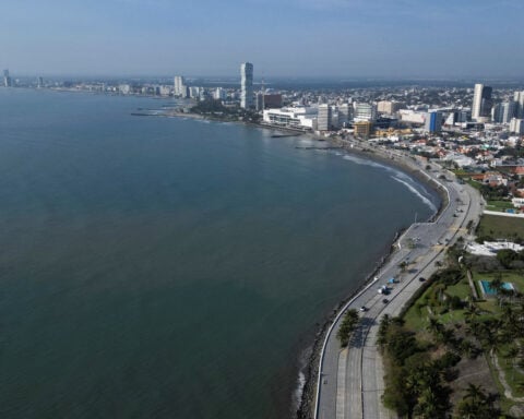 US court says Gulf of Mexico fishery council has too much power, but overfishing rule can stand