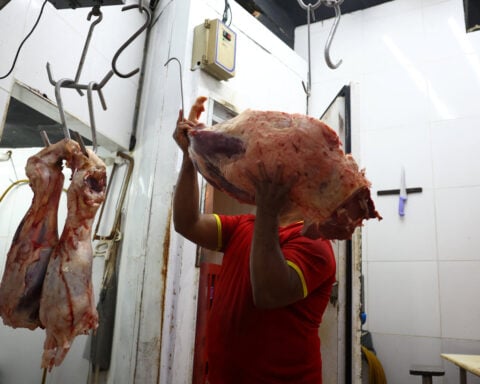 EU ban on animal products affects $1.8 billion in Brazilian exports