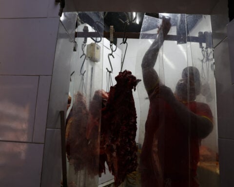 Brazil warns of reciprocal measures against EU if talks to lift meat ban stall