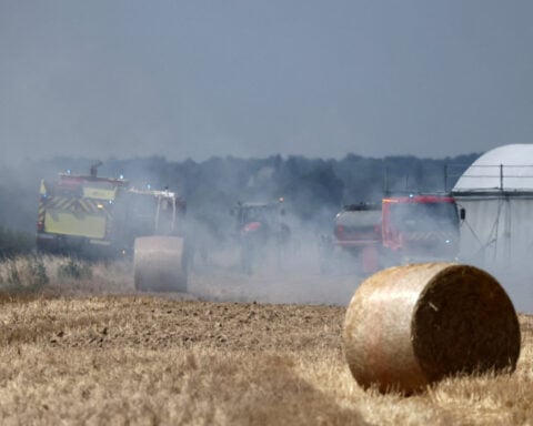 France gives farmers €1 billion to recover from record heatwaves