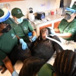 Chimpanzees once used for vaccine research get health checks as part of long-term care