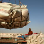 Ahead of Xi's US visit, China's soybean crushers face high costs, weak margins