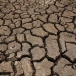 Sri Lanka bars tourists from heart of drought-hit park as El Nino looms
