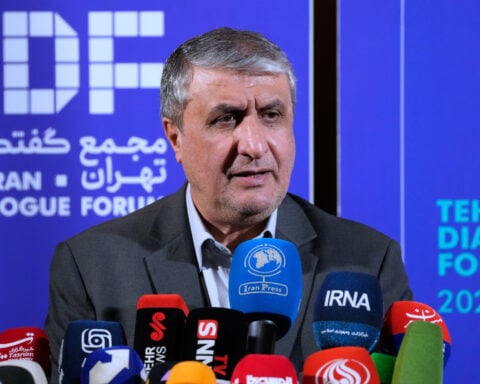Iran's nuclear chief not expected to attend IAEA General Conference, official says