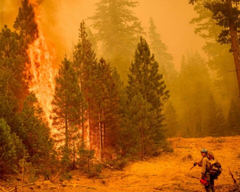 Wildfire strategy doesn’t need a winner – with 3 camps fighting for dominance, the system can’t keep up with the risk