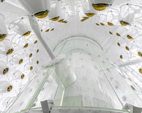 Potential dark matter detection sparks hope in search for elusive substance