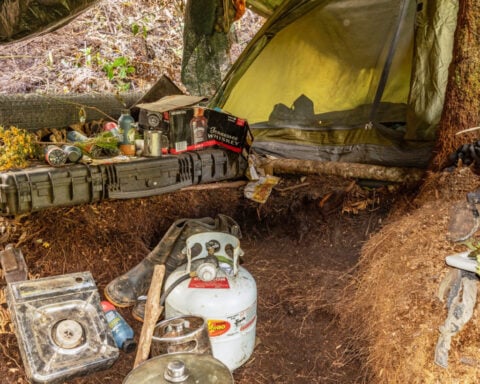 Inquiry into New Zealand man who hid his kids in forest for years lambasts officials' actions