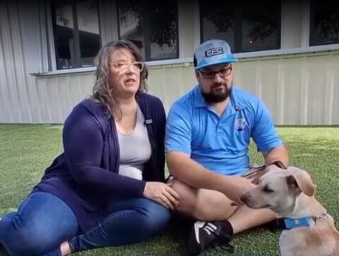 Dog seen running on Naples Airport tarmac adopted by local family