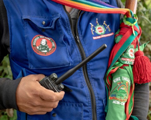 Latin America accounted for 85% of environmental defender killings in 2025, report says