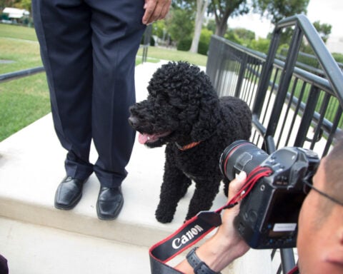 The Obamas' family dog Sunny dies, the former president says