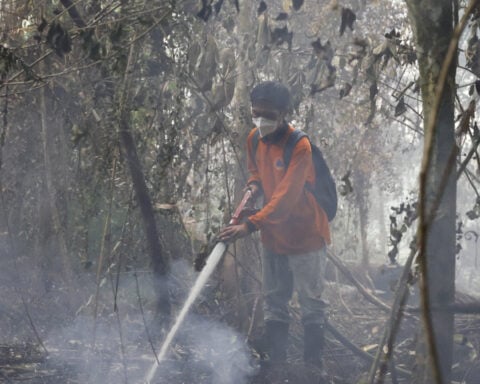 Indonesian president calls for stricter sanctions against forest fire perpetrators