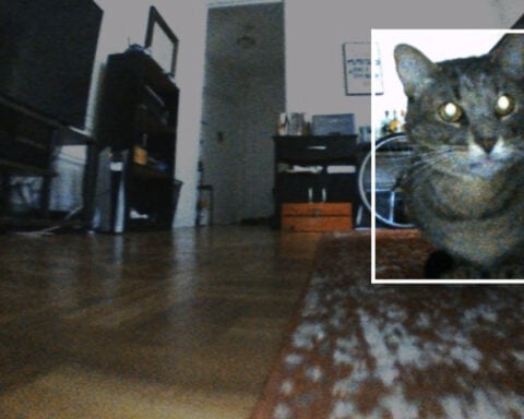 Your robotic vacuum is a witness: What home robots mean for evidence, privacy and the law